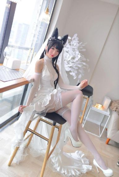电视剧全集在线观看