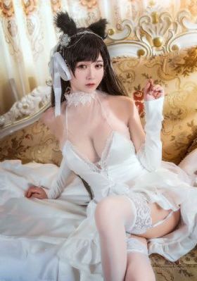 柳舟记张晚意电视剧免费观看